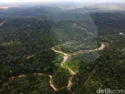 Ada Wabah Corona, Pembangunan Ibu Kota Baru Mundur?