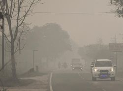 Tolong! Warga Palangkaraya Kekurangan Masker dan Butuh Oksigen