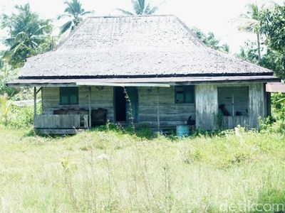 Penampakan Rumah Transmigran di Calon Ibu Kota RI