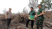 Gubernur hingga Kapolda Sumsel Tinjau Lokasi Karhutla