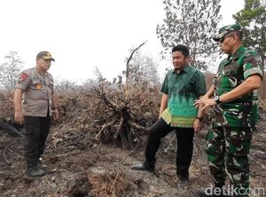 Gubernur hingga Kapolda Sumsel Tinjau Lokasi Karhutla