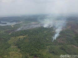 Pemerintah Undang Investor Asing Garap Ibu Kota Baru