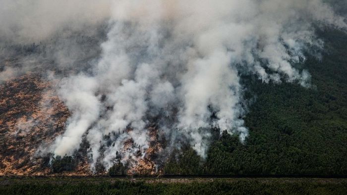 Foto: Getty Images, AP