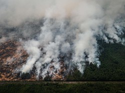 Pengusaha Jawab Tudingan Fadli Zon Soal Biang Kerok Karhutla