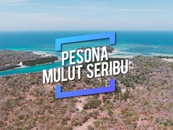 Kenalan Sama Mulut Seribu, Raja Ampat ala Pulau Rote