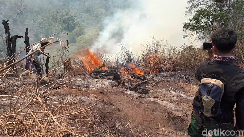Kebakaran Gunung Slamet Belum Padam, Jumlah Relawan Pemadam Ditambah