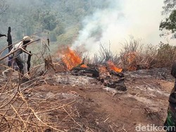 Kebakaran Gunung Slamet Belum Padam, Jumlah Relawan Pemadam Ditambah
