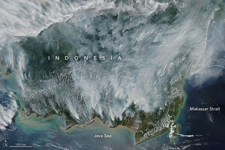 Karhutla Kalimantan Disorot NASA, Komisi IV Minta Pemerintah Kerja Ekstra