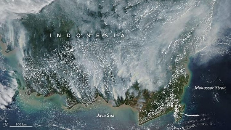 Hari Ke-10 Pemadaman Kebakaran Lahan Gambut di Riau