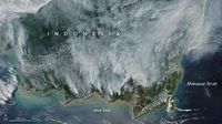Foto Kebakaran Hutan Kalimantan dari Satelit NASA