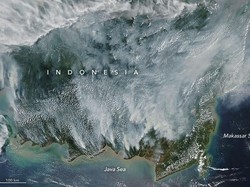 Karhutla Kalimantan Disorot NASA, Komisi IV Minta Pemerintah Kerja Ekstra