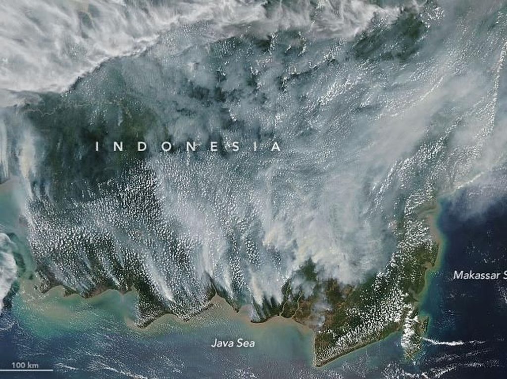 Kebakaran Hutan Kalimantan Dipotret Satelit NASA, Miris Banget!
