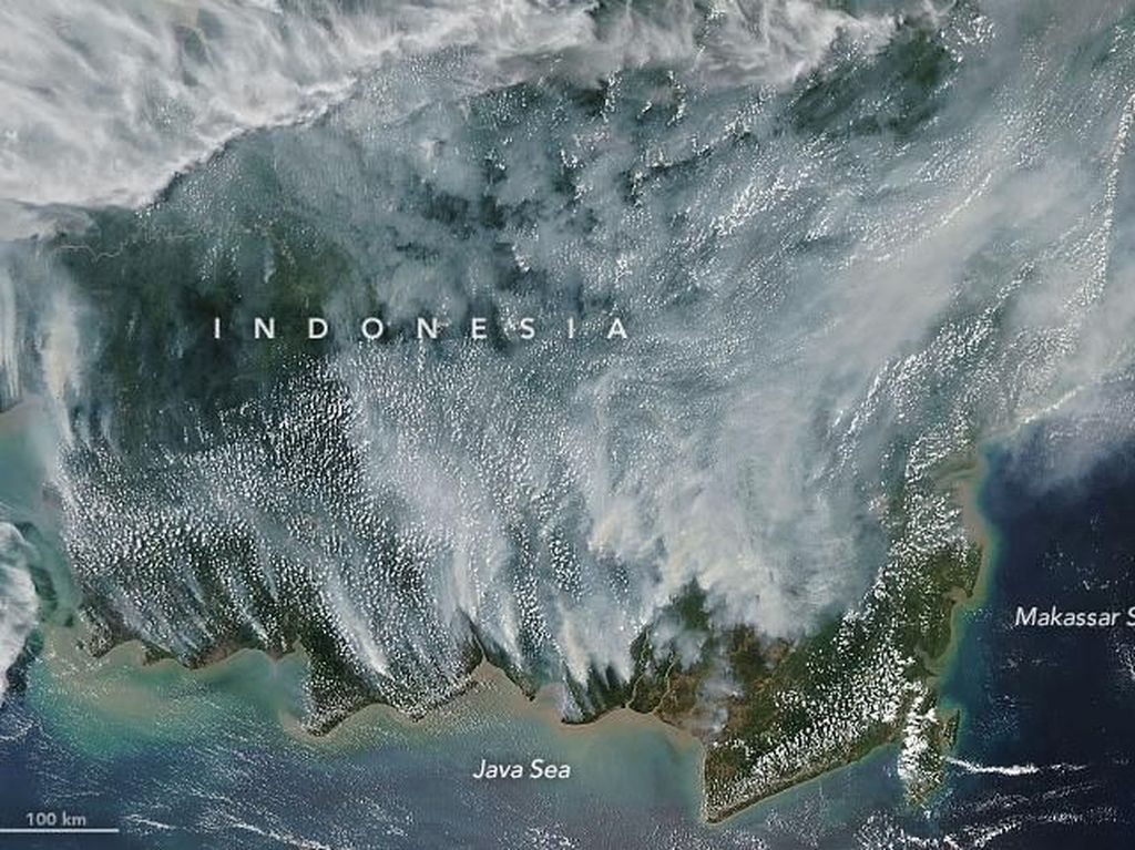 Karhutla Kalimantan Disorot NASA, Komisi IV Minta Pemerintah Kerja Ekstra Karhutla Kalimantan Disorot NASA, Komisi IV Minta Pemerintah Kerja Ekstra