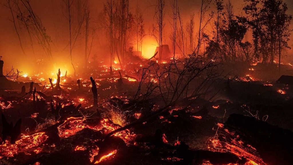 Potret Api Membara yang Hanguskan Hutan Kalimantan