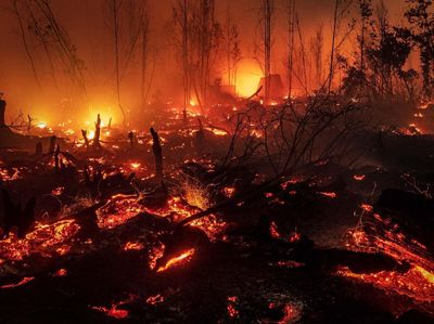 Potret Api Membara yang Hanguskan Hutan Kalimantan