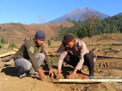 Hutan Gunung Rinjani Jangan Sampai Botak Lagi