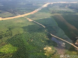 Bappenas Tawarkan Swasta Bangun Perumahan-Perkantoran di Ibu Kota Baru