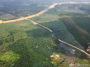 Kapan Lahan Konsesi Sukanto Tanoto Diambil? Bappenas: Akhir Tahun Beres Kapan Lahan Konsesi Sukanto Tanoto Diambil? Bappenas: Akhir Tahun Beres