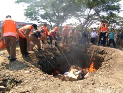 Komoditas Pertanian dan Bibit dari Luar Negeri Dimusnahkan