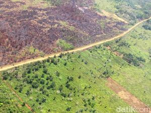 Bangun Bendungan dan Drainase Ibu Kota Baru, PUPR DP Rp 500 M Bangun Bendungan dan Drainase Ibu Kota Baru, PUPR DP Rp 500 M