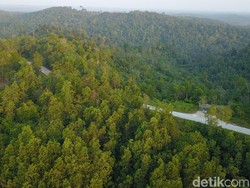 Qlue Ikut Bangun Ibu Kota Baru Jadi Green City