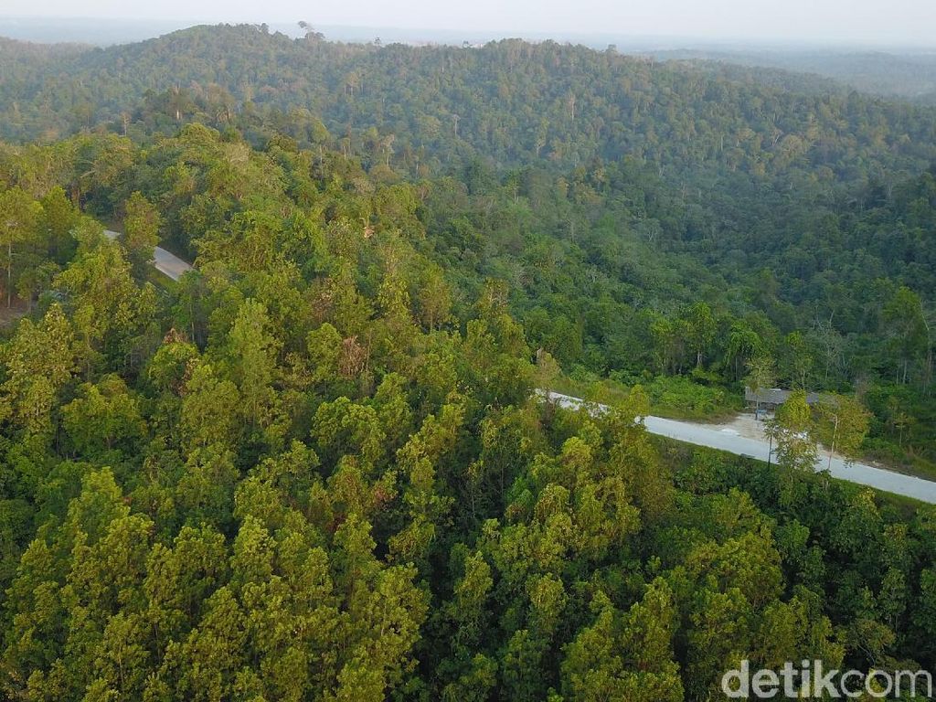 Inventarisasi Lahan Ibu Kota Baru Sudah Rampung 100% Inventarisasi Lahan Ibu Kota Baru Sudah Rampung 100%