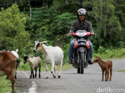 Agen BRILink Tempuh Ratusan Kilometer Demi Bantu Ekonomi Warga