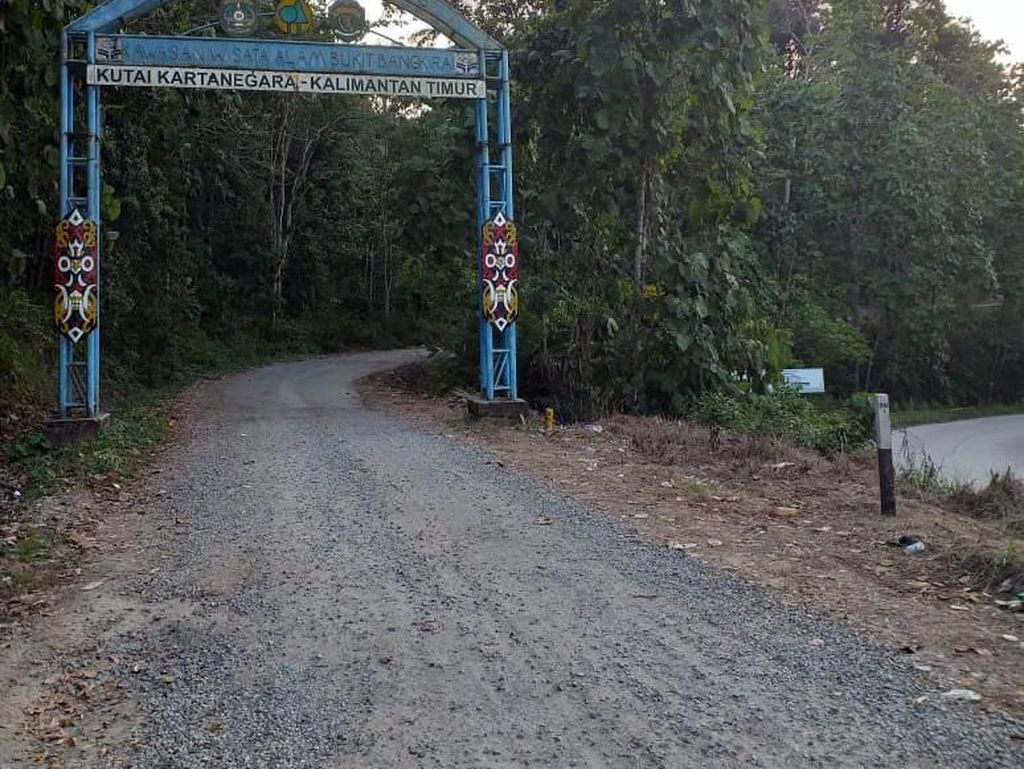 Pemerintah Diminta Siapkan Penanganan Lingkungan di Ibu Kota Baru Pemerintah Diminta Siapkan Penanganan Lingkungan di Ibu Kota Baru