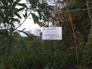 Bukit Soeharto Akan Jadi Koridor Satwa di Ibu Kota Baru Bukit Soeharto Akan Jadi Koridor Satwa di Ibu Kota Baru