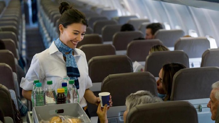 Ilustrasi Sajian Pesawat Portrait of a friendly flight attendant serving food and drinks in an airplane and looking happy - travel concepts