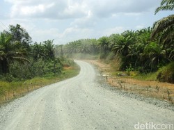 Membandingkan Infrastruktur di Sepaku dan Samboja, Calon Ibu Kota RI