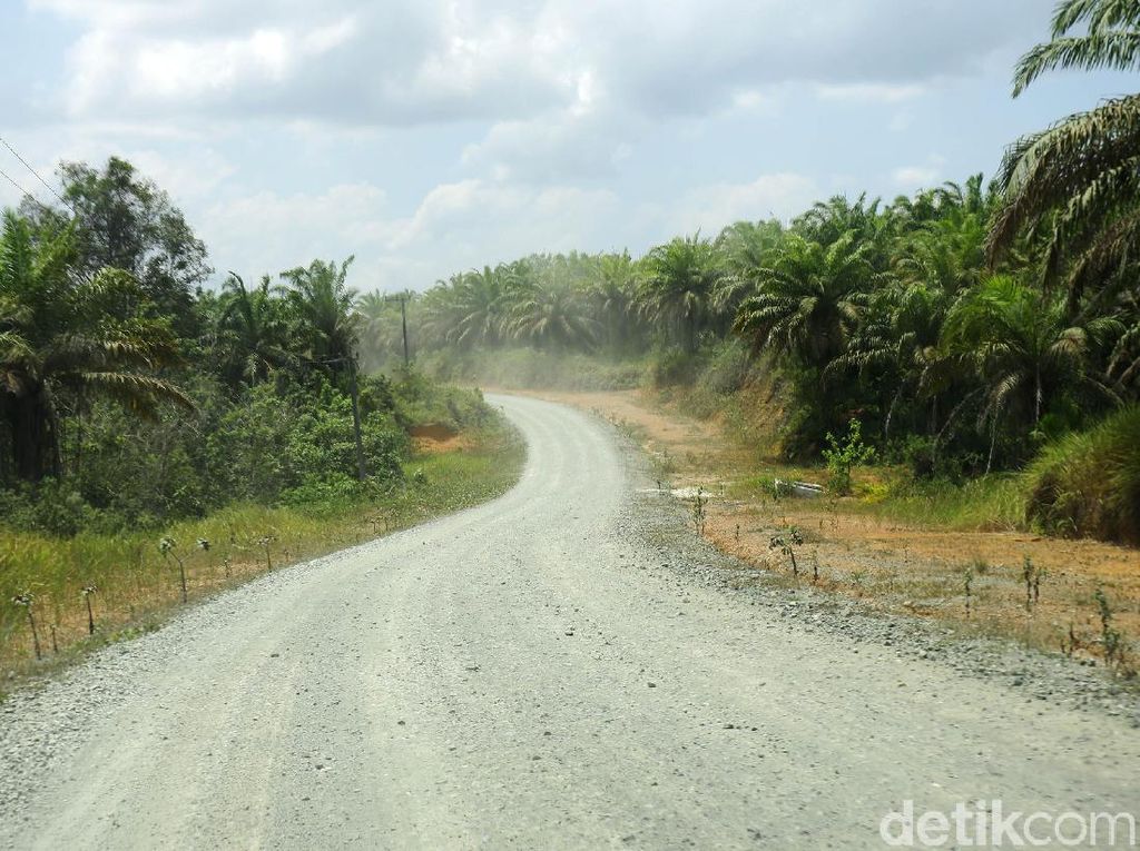 Membandingkan Infrastruktur di Sepaku dan Samboja, Calon Ibu Kota RI Membandingkan Infrastruktur di Sepaku dan Samboja, Calon Ibu Kota RI