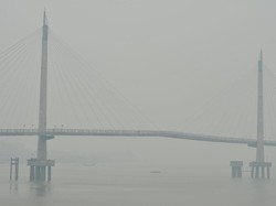 KKI Warsi Perkirakan Kerusakan Alam Jambi Rugikan Negara Rp 17 T