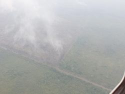 Bareskrim Polri Akan Periksa Bupati Pelalawan soal Kasus Karhutla Besok