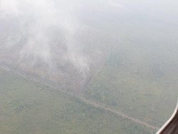 Bareskrim Polri Akan Periksa Bupati Pelalawan soal Kasus Karhutla Besok