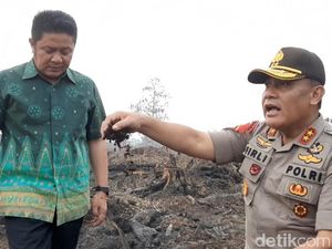 Polda Sumsel Pastikan Terus Buru Pelaku Pembakaran Hutan