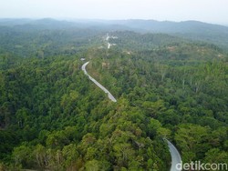 Nusantara, Ibu Kota Baru RI Bakal Dipimpin Kepala Otorita Setara Menteri