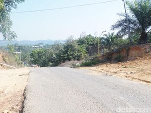 Harga Tanah di Ibu Kota Baru Melonjak Jadi Miliaran, Benar Nggak Sih? Harga Tanah di Ibu Kota Baru Melonjak Jadi Miliaran, Benar Nggak Sih?