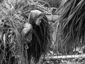 Tetap bekerja diusia senja