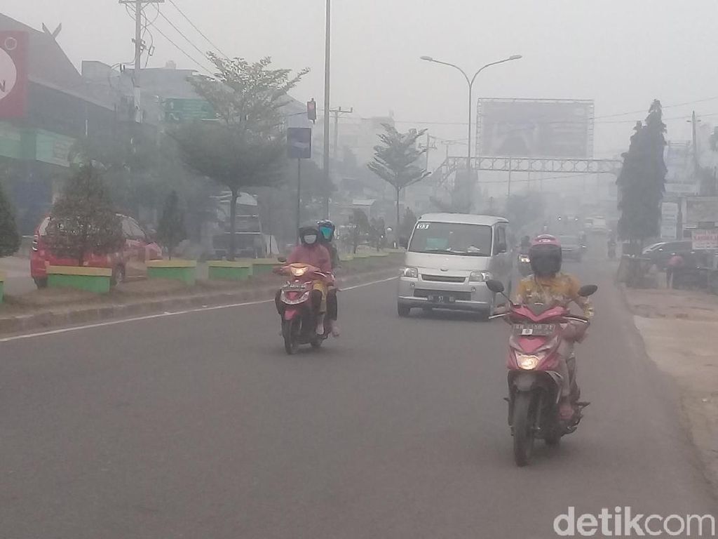 Kabut Asap Karhutla Masih Pekat: Udara Tak Sehat, Aktivitas Terhambat