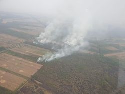 Karhutla, Pembusukan Politik, dan Pembangunan Berkelanjutan