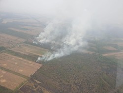 Karhutla, Pembusukan Politik, dan Pembangunan Berkelanjutan