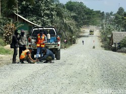 Angan-angan Jokowi soal Ibu Kota Baru di Kaltim