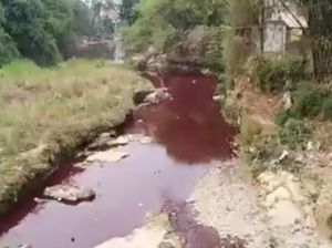 Pemkab Bogor Tegur PT GI Karena Buang Limbah ke Sungai Cileungsi