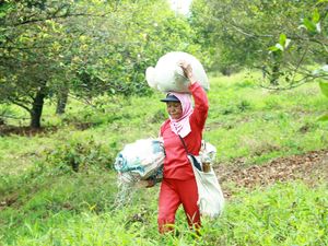 Niat Ibadah berangkat berkebun dengan keikhlasan dan melatih