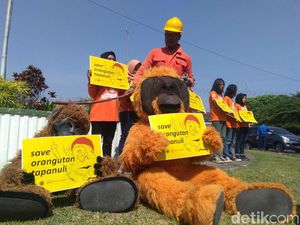 Gelar Aksi di UGM, Aktivis Lingkungan Serukan Keprihatinan pada Orang Utan Gelar Aksi di UGM, Aktivis Lingkungan Serukan Keprihatinan pada Orang Utan