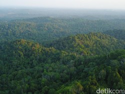 Awal 2020, 110 Daerah Sudah Miliki Rencana Detail Tata Ruang