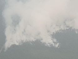 1.431 Hotspot Karhutla Kelilingi Kalbar, Kualitas Udara Level Bahaya