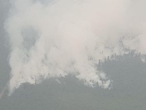 1.431 Hotspot Karhutla Kelilingi Kalbar, Kualitas Udara Level Bahaya