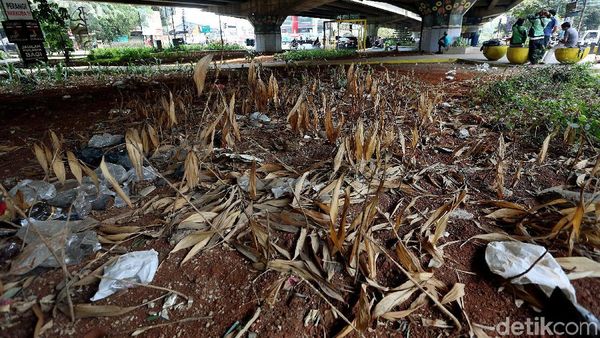 Pemkot Bekasi Bisa Bangun Taman, Tapi Kok Nggak Dirawat?